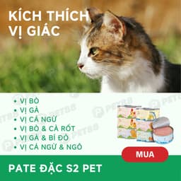 Combo 5, 10, 20 Lon Pate Mèo S2PET 85g Thức Ăn Ướt, Bổ Sung Taurine - MÉO CHÒ UNI 3