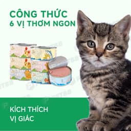 Combo 5, 10, 20 Lon Pate Mèo S2PET 85g Thức Ăn Ướt, Bổ Sung Taurine - MÉO CHÒ UNI 2