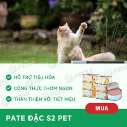 Combo 5, 10, 20 Lon Pate Mèo S2PET 85g Thức Ăn Ướt, Bổ Sung Taurine - MÉO CHÒ UNI 4