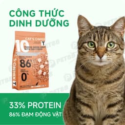 Hạt cho mèo cao cấp Cat's On Mix T - 1,4kg - MÉO CHÒ UNI 2