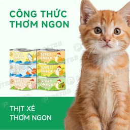 Combo 5,10,20 lon Pate Mèo S2PET Lon 85g dạng lỏng Kích Thích Ăn Ngon, Không Bảo Quản - Méo Chò Uni 2