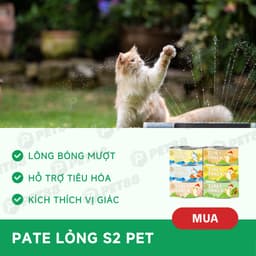 Combo 5,10,20 lon Pate Mèo S2PET Lon 85g dạng lỏng Kích Thích Ăn Ngon, Không Bảo Quản - Méo Chò Uni 4