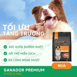 Hạt cho chó Ganador premium 10kg/ 3kg vị cừu gạo hỗ trợ mượt da lông - MÉO CHÒ UNI 5