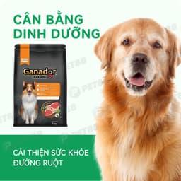 Hạt cho chó Ganador premium 10kg/ 3kg vị cừu gạo hỗ trợ mượt da lông - MÉO CHÒ UNI 7