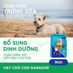 Hạt cho chó con Ganador vị trứng sữa	3KG giúp chắc khoẻ xương - MÉO CHÒ UNI 2