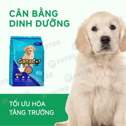 Hạt cho chó con Ganador vị trứng sữa	3KG giúp chắc khoẻ xương - MÉO CHÒ UNI 4