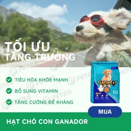 Hạt cho chó con Ganador vị trứng sữa	3KG giúp chắc khoẻ xương - MÉO CHÒ UNI 3