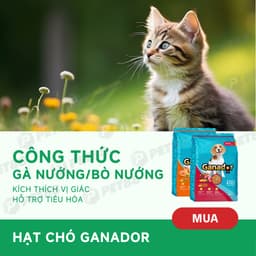 Hạt cho chó Ganador vị bò nướng & gà nướng 10KG/ 3KG hỗ trợ tiêu hoá, ăn ngon - MÉO CHÒ UNI 3