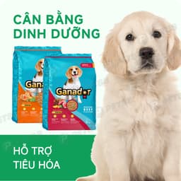 Hạt cho chó Ganador vị bò nướng & gà nướng 10KG/ 3KG hỗ trợ tiêu hoá, ăn ngon - MÉO CHÒ UNI 2