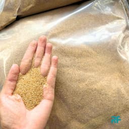 500g Cát Nắng Vàng Loại Hạt Mịn Dùng Trải Nền Bể Thuỷ Sinh 5