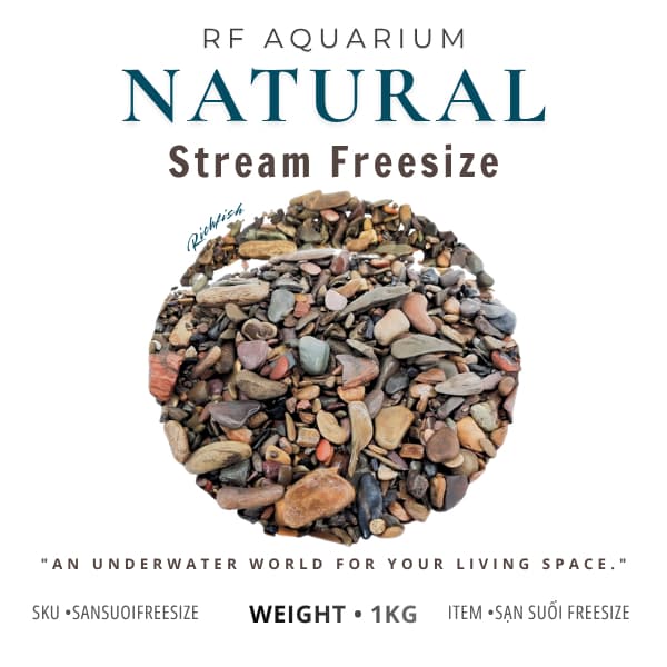 1kg Sạn Suối Freesize Khai Thác Tự Nhiên Dùng Trải Nền Bể Cá Thuỷ Sinh Phong Cách Biotop