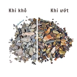 1kg Sạn Suối Freesize Khai Thác Tự Nhiên Dùng Trải Nền Bể Cá Thuỷ Sinh Phong Cách Biotop 2
