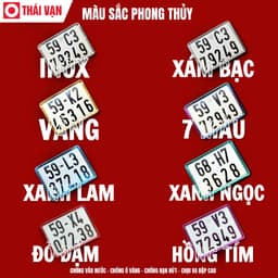 Khung Biển Số Xe Máy Cao Cấp - Tự Gắn - Thái Vạn 3
