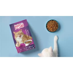 [FREESHIP] Thức ăn hạt Ioishi Nhật Bản dành cho mèo mọi lứa tuổi cao cấp 4