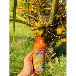 Siêu lớn trái dừa giúp trái lớn trái, to trái, đẹp trái, khắc phục nhọn trái, đạt chuẩn xuất khẩu chai 500ml 2