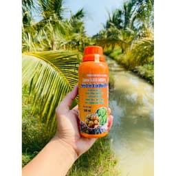 Siêu lớn trái dừa giúp trái lớn trái, to trái, đẹp trái, khắc phục nhọn trái, đạt chuẩn xuất khẩu chai 500ml 1