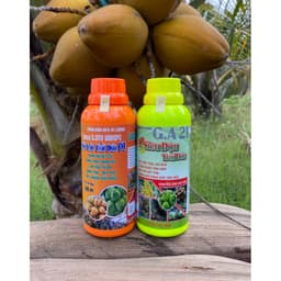 Combo Siêu đậu trái- Siêu lớn trái dừa tăng đậu trái, sai quả, lớn trái, tròn trái đạt chuẩn xuất khẩu 500ml 3