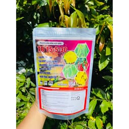PHÂN BÓN TB 15-5-30 tạo mầm hoa,  dày cánh, hoa đẹp , lâu tàn, nuôi trái gói 1kg 1