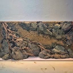 Layout Vách Suối Ver.1 Đá Nham Xanh | Nguyên Liệu Tự Nhiên An Toàn Cho Cá Tép | RF Aquarium 2