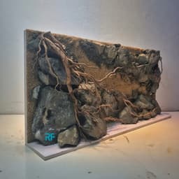Layout Vách Suối Ver.1 Đá Nham Xanh | Nguyên Liệu Tự Nhiên An Toàn Cho Cá Tép | RF Aquarium 4