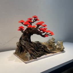 Aquascape Bonsai Ver.8 Gắn Sẵn Tán Rêu Màu Đỏ | Dùng Setup Bể Cá Thuỷ Sinh | RF Aquarium 6