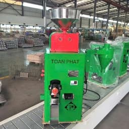 Máy xát gạo Lứt. gạo Trắng TF 2000 - Toàn Phát 2