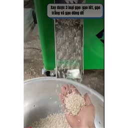 Máy xát gạo Lứt. gạo Trắng TF 2000 - Toàn Phát 3