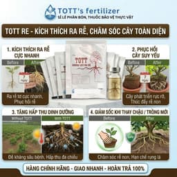 Thuốc Kích Rễ TOTT RE, Combo 10 gói, ra rễ cực mạnh, dưỡng cây, bật chồi khỏe mạnh, Phân bón TOTT 2