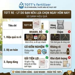 Thuốc Kích Rễ TOTT RE, Combo 10 gói, ra rễ cực mạnh, dưỡng cây, bật chồi khỏe mạnh, Phân bón TOTT 4