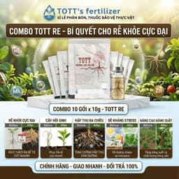 Thuốc Kích Rễ TOTT RE, Combo 10 gói, ra rễ cực mạnh, dưỡng cây, bật chồi khỏe mạnh, Phân bón TOTT 5