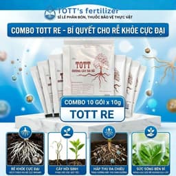 Thuốc Kích Rễ TOTT RE, Combo 10 gói, ra rễ cực mạnh, dưỡng cây, bật chồi khỏe mạnh, Phân bón TOTT 1