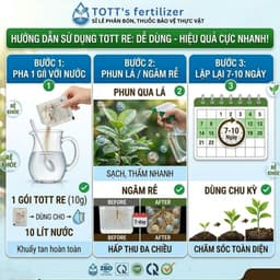 Thuốc Kích Rễ TOTT RE, Combo 10 gói, ra rễ cực mạnh, dưỡng cây, bật chồi khỏe mạnh, Phân bón TOTT 6