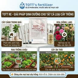 Thuốc Kích Rễ TOTT RE, Combo 10 gói, ra rễ cực mạnh, dưỡng cây, bật chồi khỏe mạnh, Phân bón TOTT 3