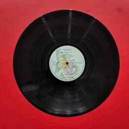 Đĩa than Kate Bush – Never For Ever 6