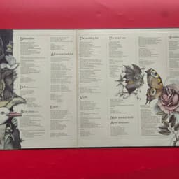 Đĩa than Kate Bush – Never For Ever 3