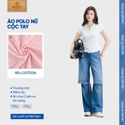Áo thun polo nữ slimfit GENVIET JEANS cổ v cộc tay baby tee ôm vừa phải cotton thoáng mát không bai nhão 9084 2