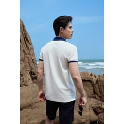 Áo polo nam ngắn tay DGC dáng suông, Chất Vải Thoáng Mát, Thấm Hút Mồ Hôi - SAPBF102M 3