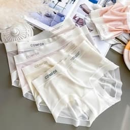 Quần Lót Nữ DANBIKINI - Quần lót tàng hình chất liệu su lụa comfor mẫu 3033 5