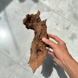 Lũa San Đá Kích Thước Từ 15-25cm Dùng Trang Trí Bể Thuỷ Sinh, Terrarium Mini 2