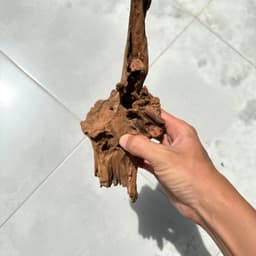 Lũa San Đá Kích Thước Từ 15-25cm Dùng Trang Trí Bể Thuỷ Sinh, Terrarium Mini 3