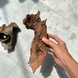 Lũa San Đá Kích Thước Từ 15-25cm Dùng Trang Trí Bể Thuỷ Sinh, Terrarium Mini 6