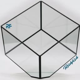 (Update Bản Sillicon Đen) Chậu Trồng Cây Để Bàn Bằng Kính Kích Thước 12x12x12cm | Rf Aquarium 2