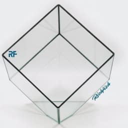 (Update Bản Sillicon Đen) Chậu Trồng Cây Để Bàn Bằng Kính Kích Thước 12x12x12cm | Rf Aquarium 3