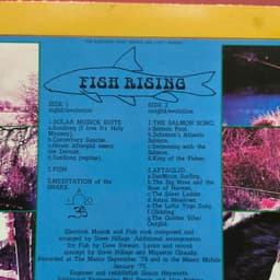 Đĩa than Steve Hillage – Fish Rising 3