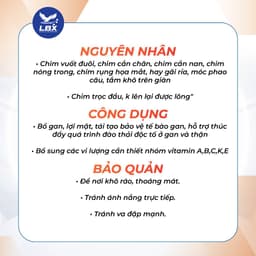 Dung dịch uống Super Thanh Lọc Lâm Bầu Xô, hỗ trợ hạn chế cắn phá lông cho chim cảnh thi đấu 4