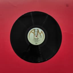 Đĩa than Carpenters – A Song For You 4