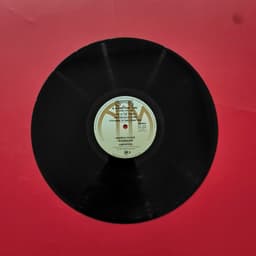 Đĩa than Carpenters – A Song For You 5