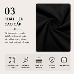 Áo thun nữ che bụng dáng ôm nhẹ – cổ tim nhún eo co giãn 4 chiều Evalover 4