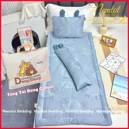 💤BÉ NGỦ SAY💤Bộ Nệm Gối Băng Lạnh Cao Cấp Cho Bé Nằm Mát Lạnh Êm Ái, Tặng Túi Đựng - Nemtot Bedding 5