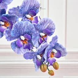 Lan Xoăn Cao Su 9 Bông Giống Thật Trang Trí Nhà Cửa Decor Sự Kiện, Cổng Cưới. Hoa Lụa Decor 3